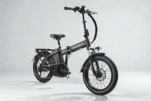 Wildeway FW11 Review: 750W Power, Hydraulic Brakes and 90-Mile Range