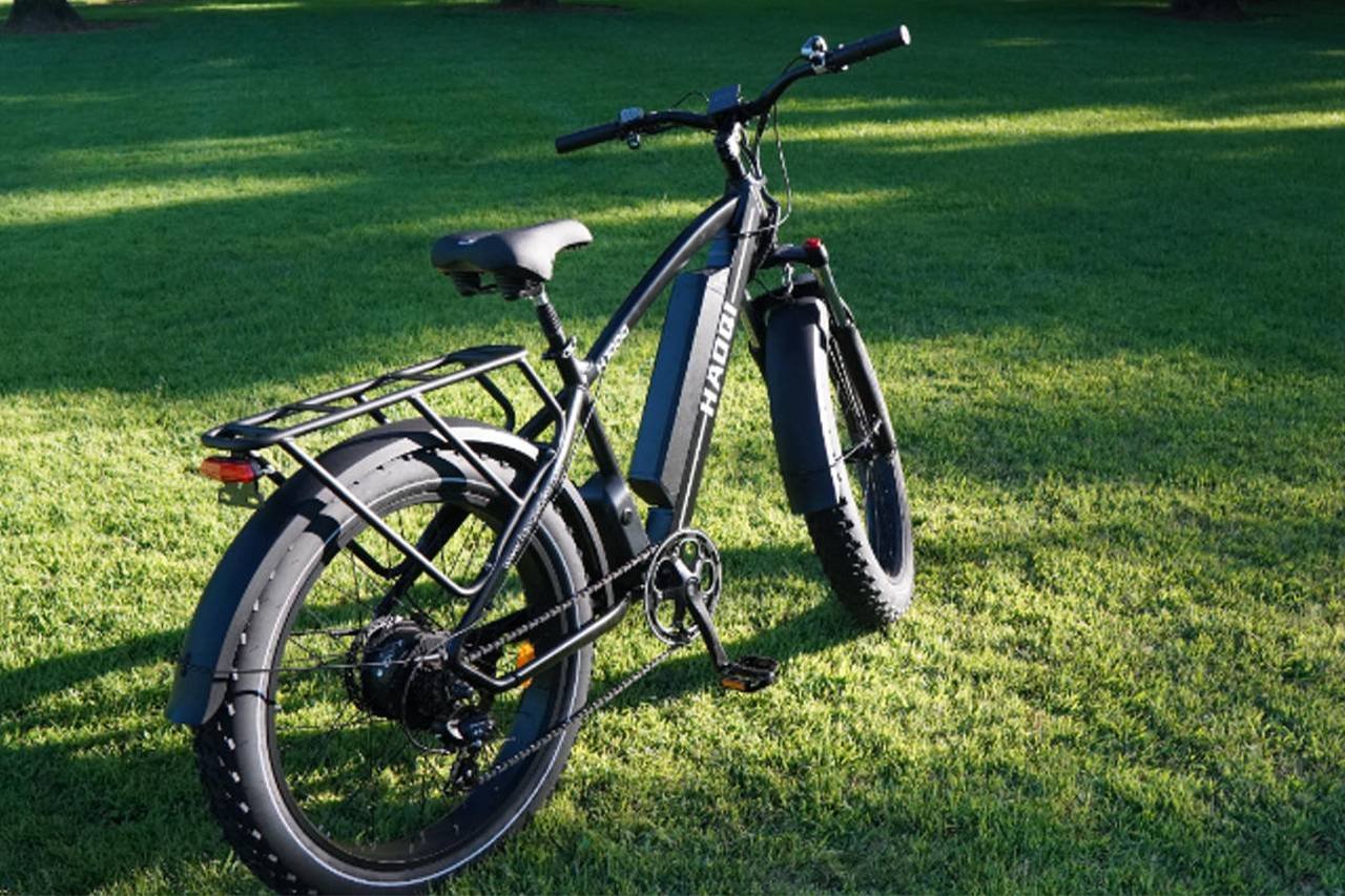 HAOQI Leopard Pro Electric Bike Review: Is This 750W Ebike Worth It?