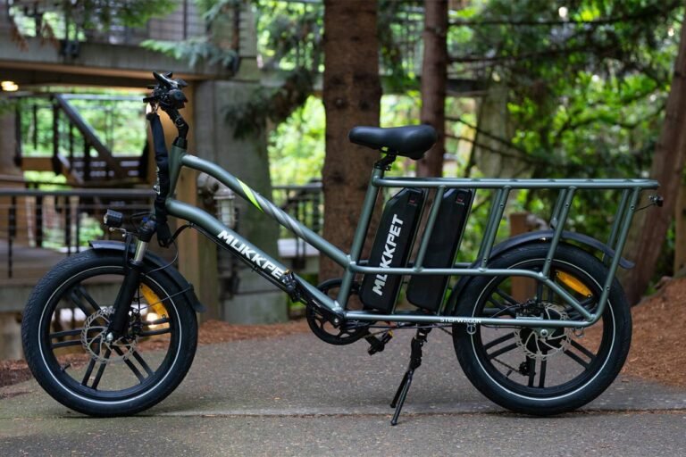 Mukkpet Stepwagon Electric Bike Review: Top Cargo E-Bike?