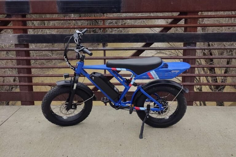 Jasion Electric Bike Reviews: RetroVolt Pro vs EB5 MAX vs EB5