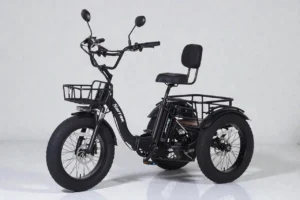 Narrak S180 Folding Electric Tricycle Review
