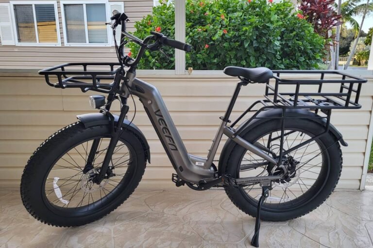 VEEFA Electric Bike Review