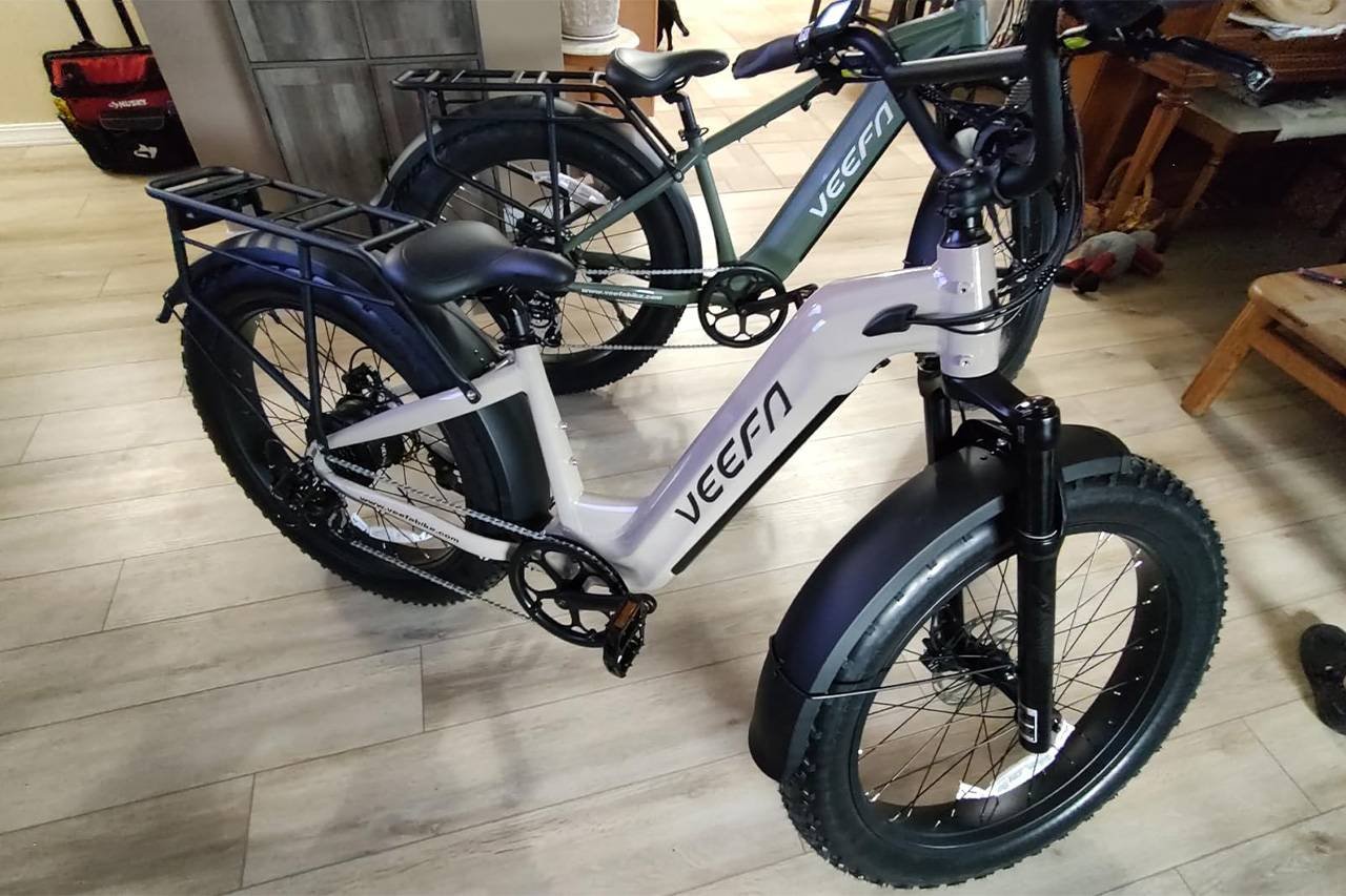 VEEFA L1 Electric Bike Review
