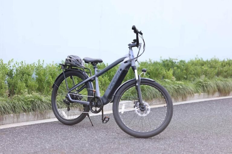 VEEFA M2 Electric Bike Review