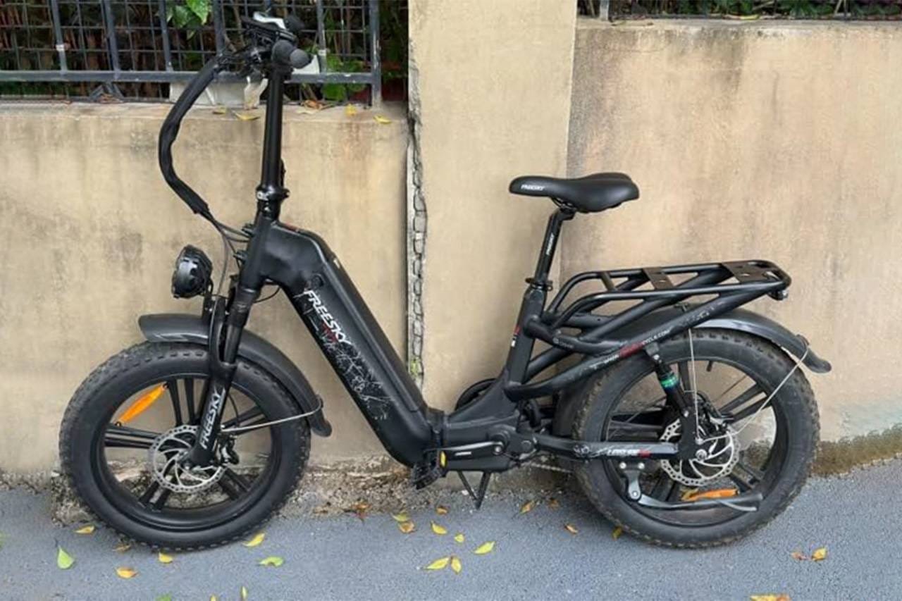 FREESKY Boulevard Step-Thru Ebikes Review