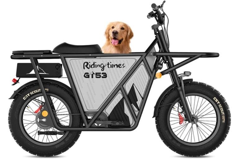 Riding'times GT53 Electric Cargo Bike Review