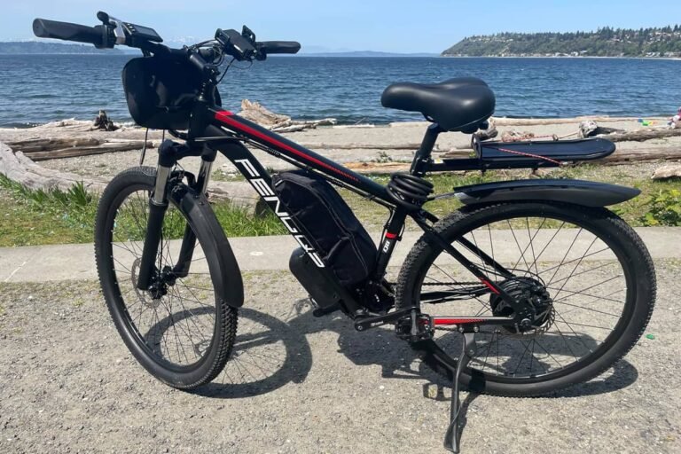 FengQS Q8 Electric Bike: Power-Packed Review of Speed & Style