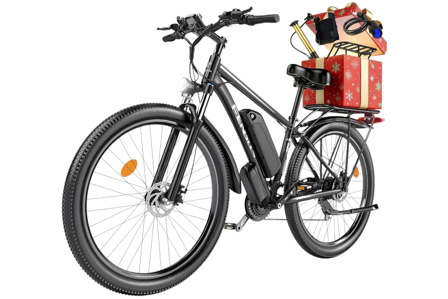 FengQS Q8 electric bike