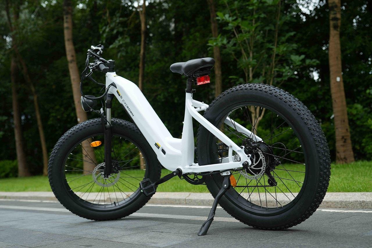 CYCROWN CycVerve Electric Bike Review