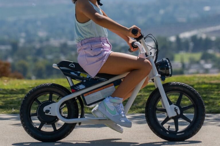 Droyd Weeler Electric Mini Bike Review