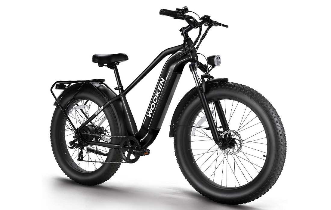 Wooken Gale electric bike
