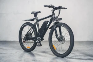 Is the ZNH 02 Electric Bike Worth It? Review