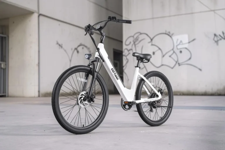 Gotrax Dolphin Electric Bike Review