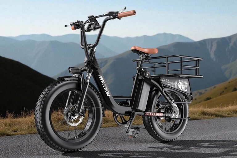 Is the EUY CityRang 4.0 the Best Value Cargo-Ready Fat-Tire Ebike?