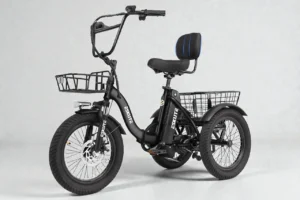 ESKUTE T300 E-Trike Review: Stable Comfort + Cargo for Daily Errands
