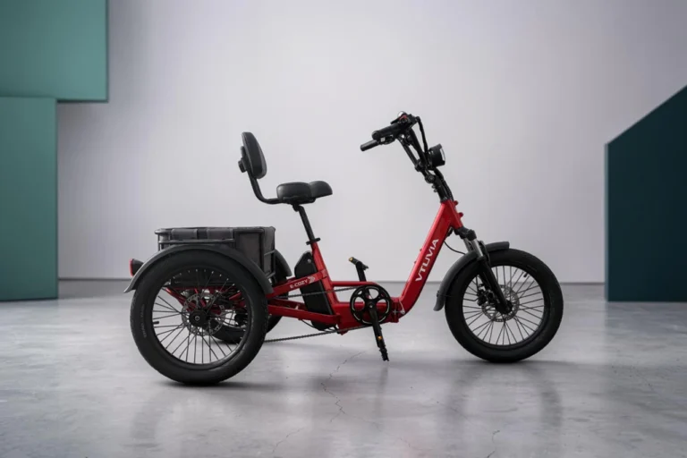 VTUVIA E-Cozy Electric Trike Review
